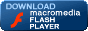 Scarica Macromedia Flash Player